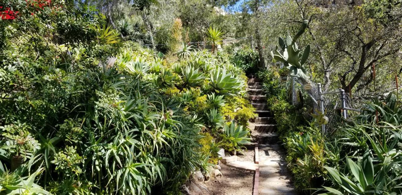 Rainbow Guest House Fallbrook Exterior foto